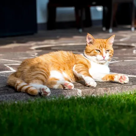 Argus Monika Fuegenberg